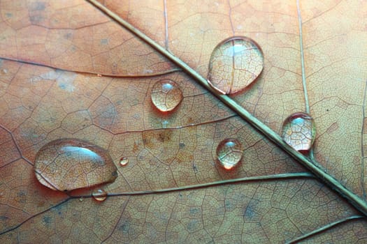 Water veins