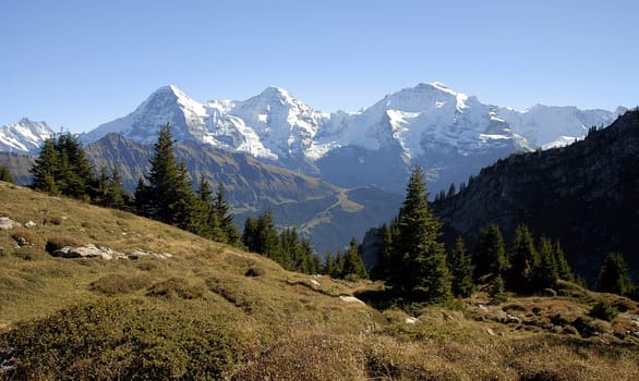 From left to right you can see the famous peaks of the Jungfrau massif Jungfrau (4158 m),Mönch (4099 m) and Eiger (3970 m). With this picture I also conclude the series about the Bernese Oberland. I hope you liked one or the other picture