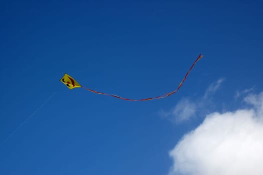Kite