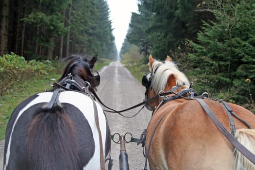 On the road with 2 hp