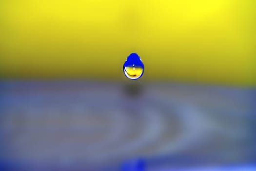Water droplets compliment