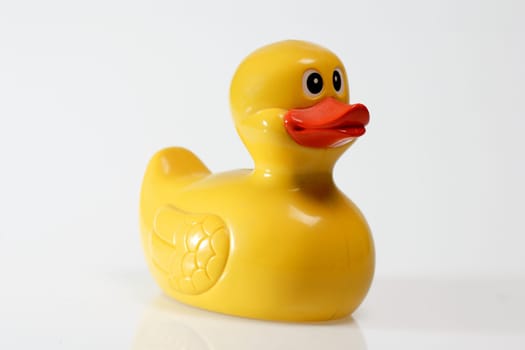 Rubber duck