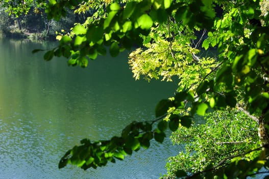 Summer day
