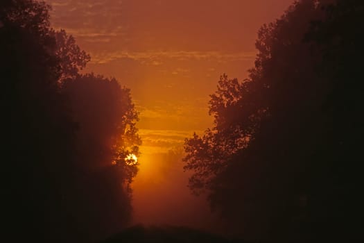 Taubergiessen,sunrise at the dam