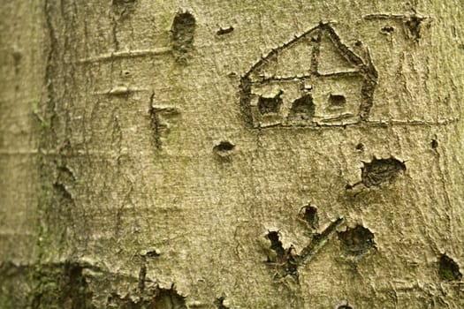 treehouse