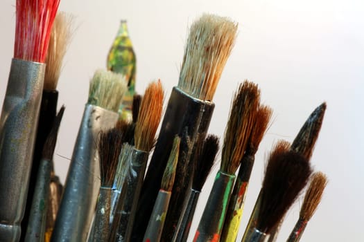 Brush Collection