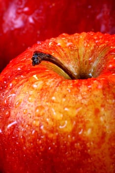 In the mood for apples? 2