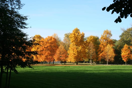 Autumn sun