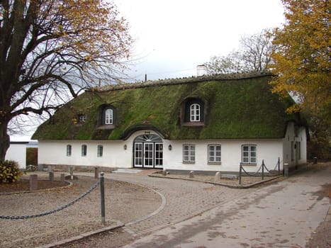 Thatched roof house