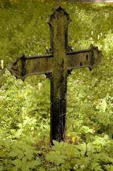 cross without section without angry