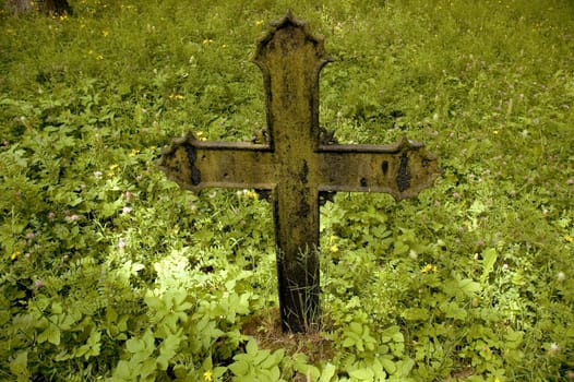 cross without section without angry