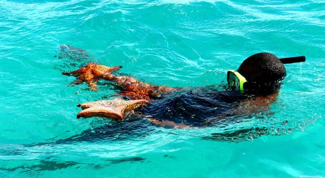 StarfishDiver