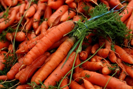 Carrots at the weekly market