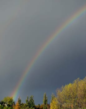 View from Office 3