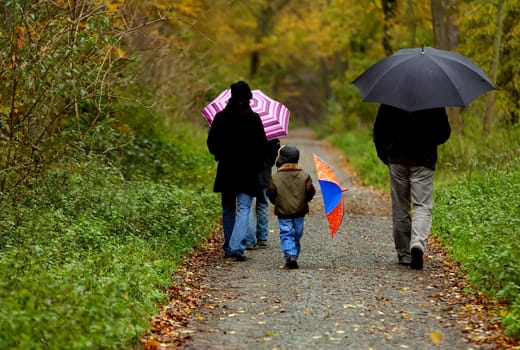 Autumn walk