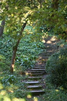 Stairs in a summer orchard