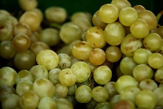 Bunches of grapes