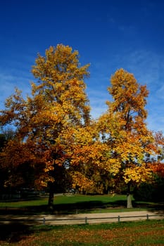 Autumn colors