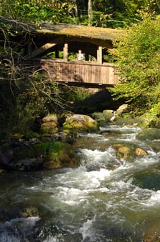 Waldbach