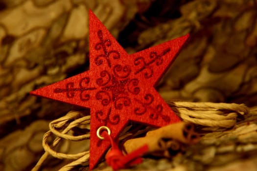 star without celebrity without bird without tree without starfish