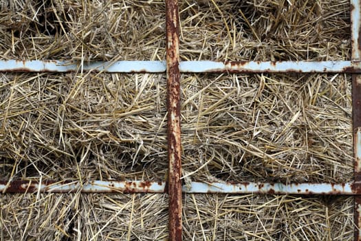 Straw