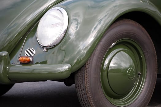 Ancient beetle in military green