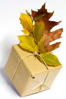 Gift Package
