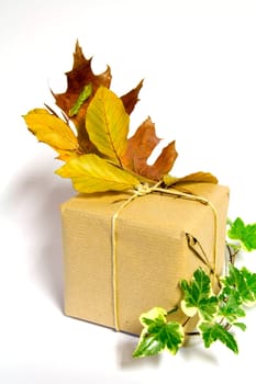 Gift Package