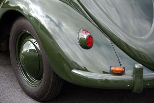 Ancient beetle in military green