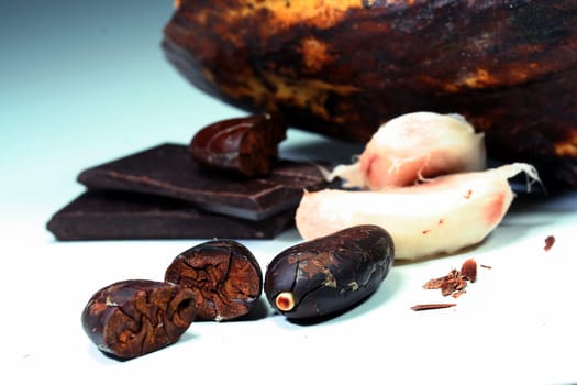 cocoa beans