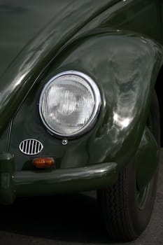 Ancient beetle in military green