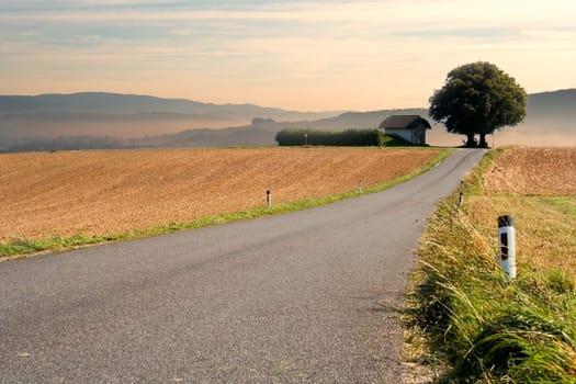 Dirt road