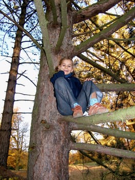 Climbing - Maxe