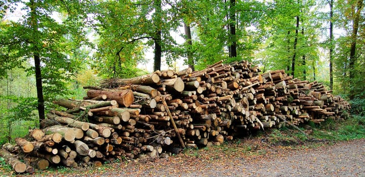 Everyone can load as much of this wooden butt as they want on their shoulders for training.