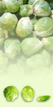 Brussels sprouts 2