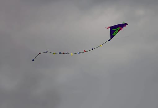 Kite