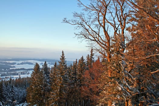 Wonderful winter landscape