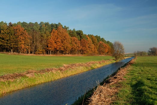 Meadows and forests