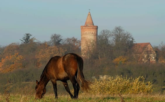 With this picture from my homeland I wish you all a nice,relaxing weekend....!:-)