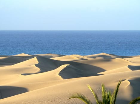 the beauty of nature