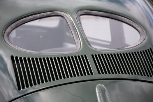 Ancient beetle in military green
