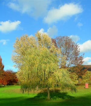 In the Autumn Park