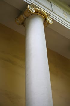 Column