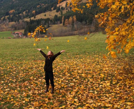 Rain of leaves