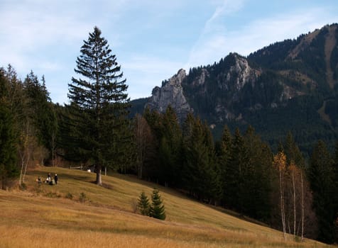 Oberammergauer Laber