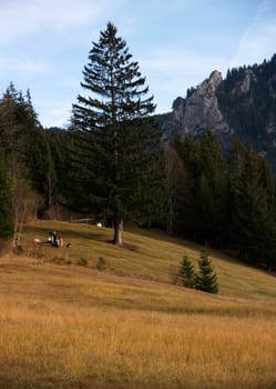 Autumnal November
