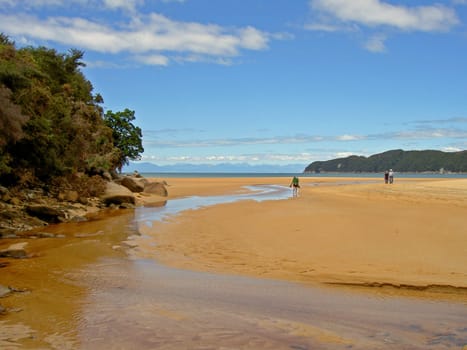 Low tide in the Abel Tasman National Park