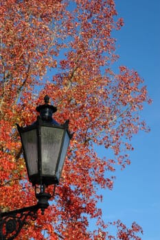 Autumnal