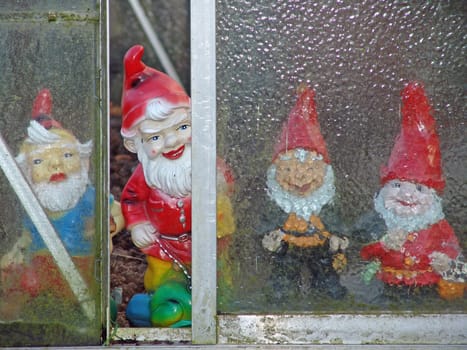 Garden gnomes in winter quarters