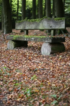 Mossy bench in an autumnal forest